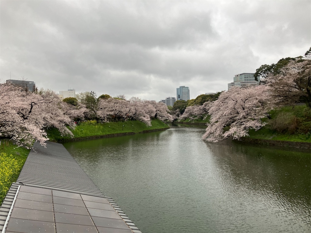 f:id:bamboodancer:20230326145657j:image