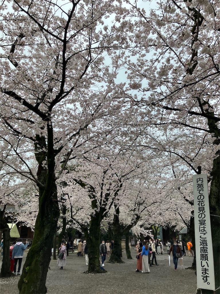 f:id:bamboodancer:20230326151710j:image