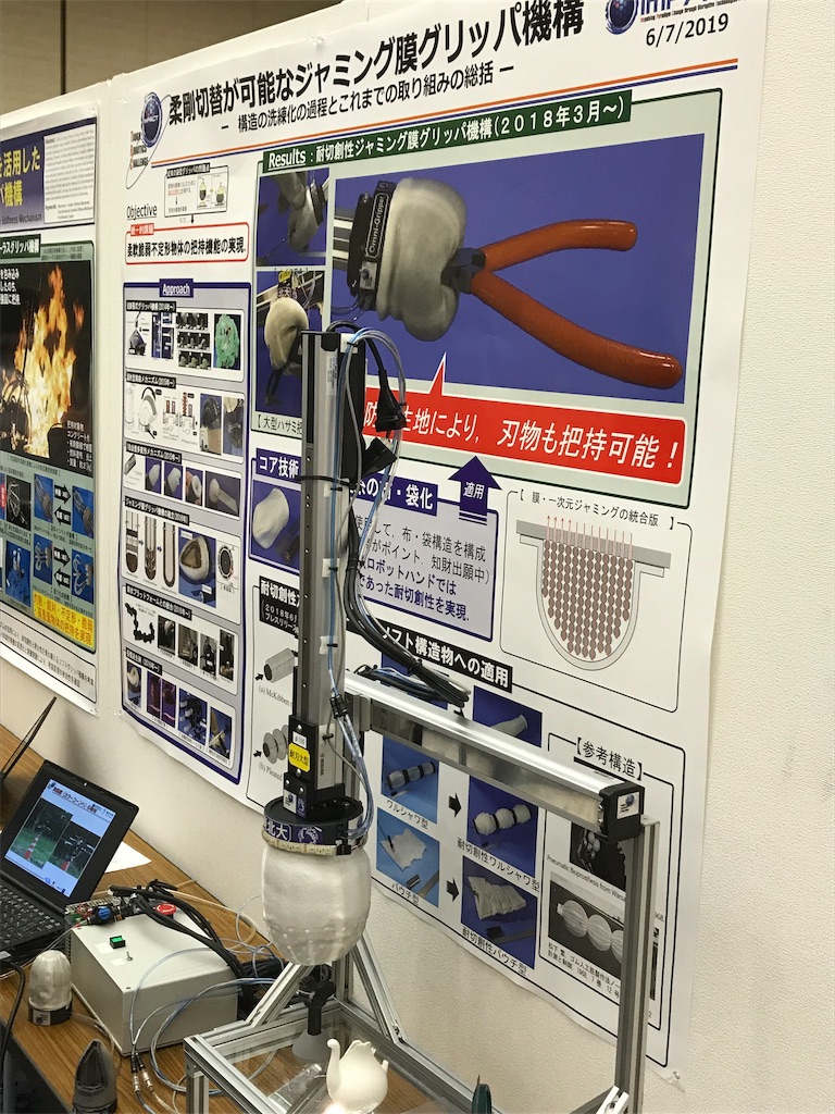 f:id:bamboomush:20190608202605j:image f:id:bamboomush:20190608202605j:image