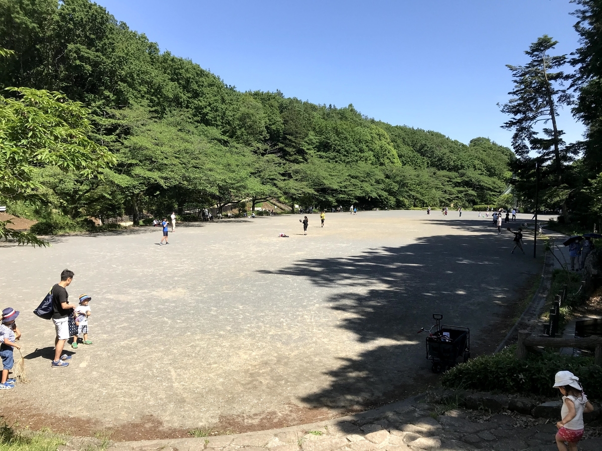 f:id:bamboomush:20200517180545j:plain