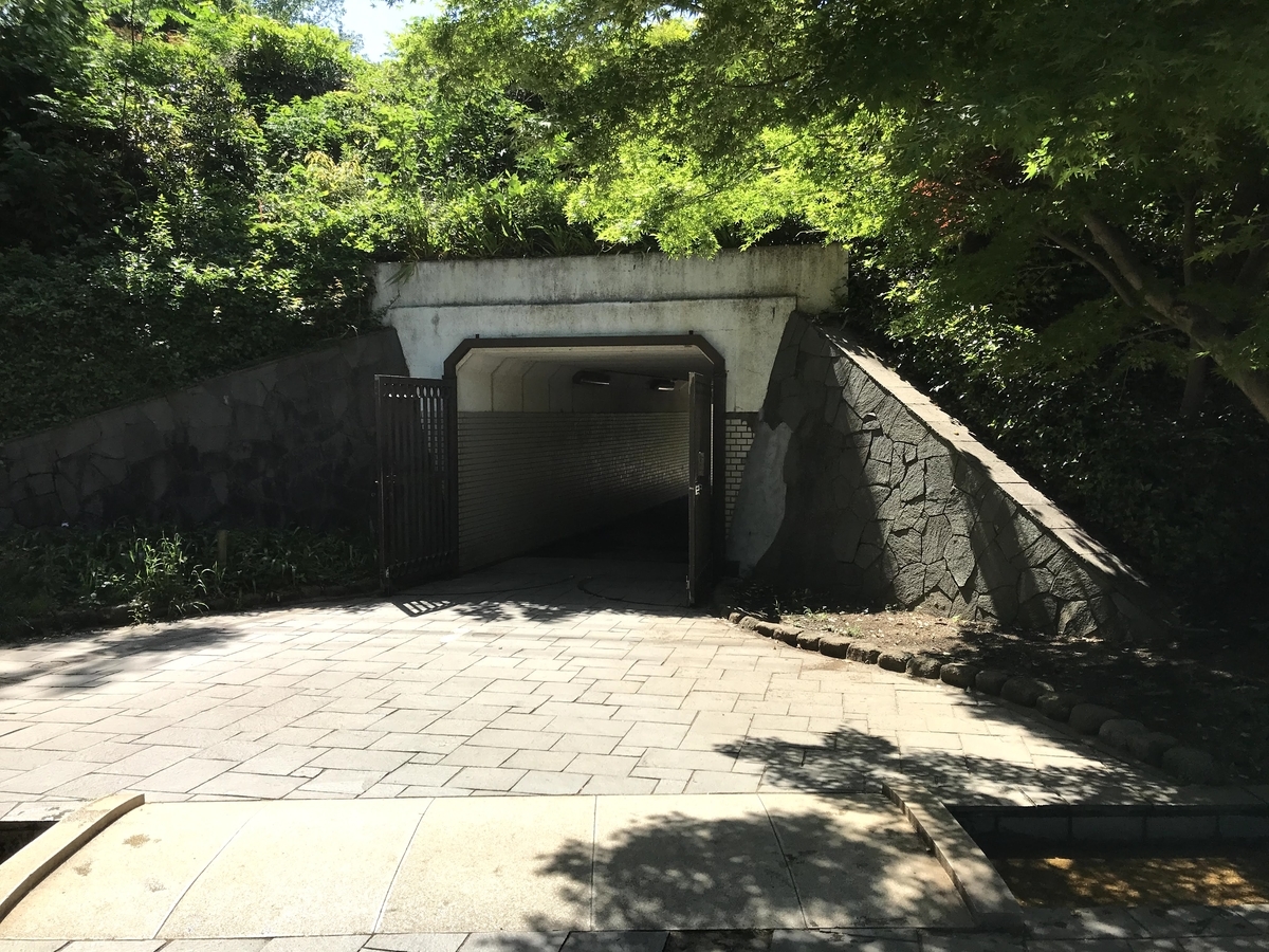 f:id:bamboomush:20200517180602j:plain