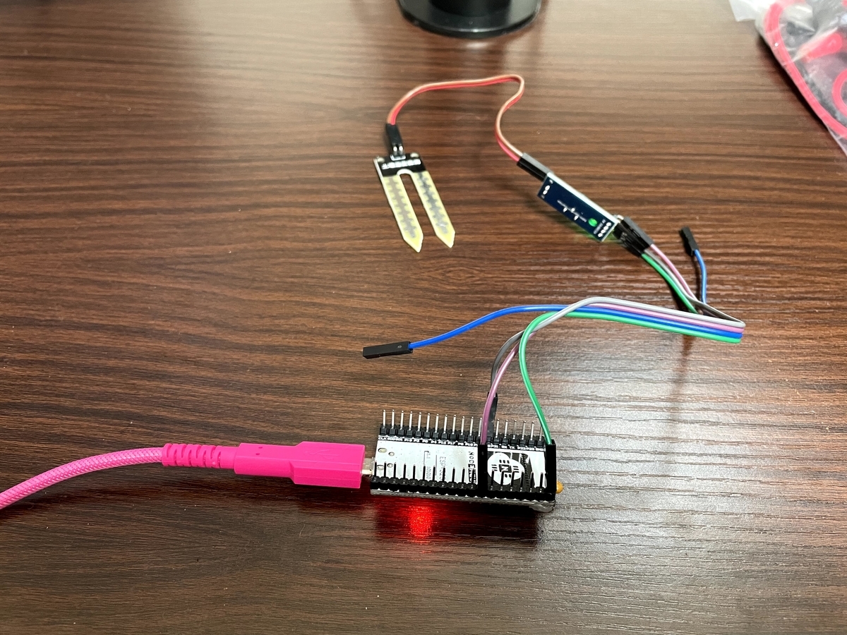 f:id:bamboomush:20210320151019j:plain