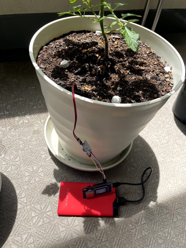 f:id:bamboomush:20210516185019j:plain