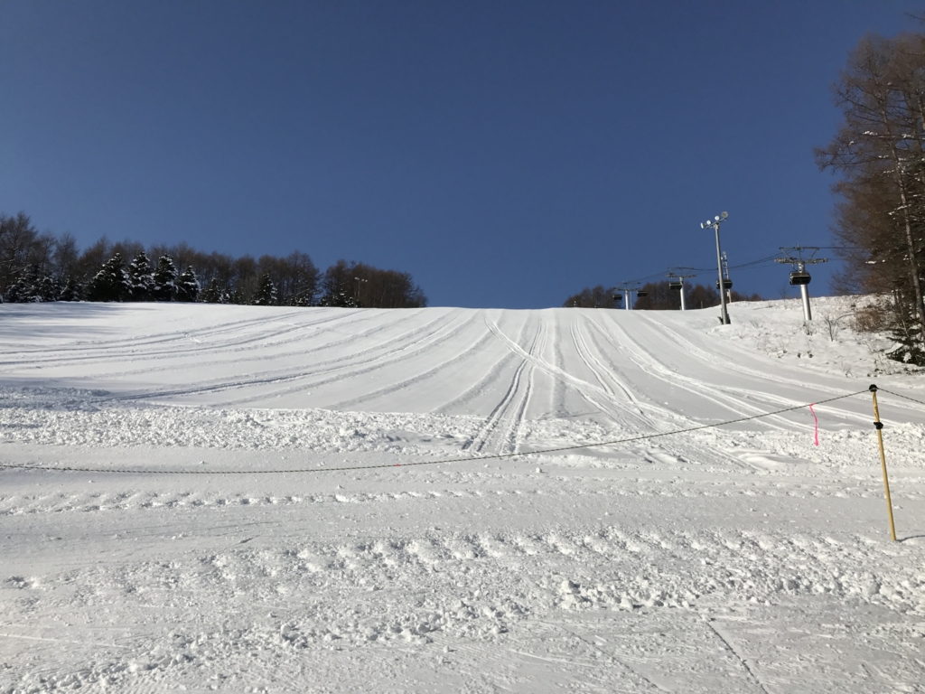 f:id:bambooshoot07:20161218192916j:plain