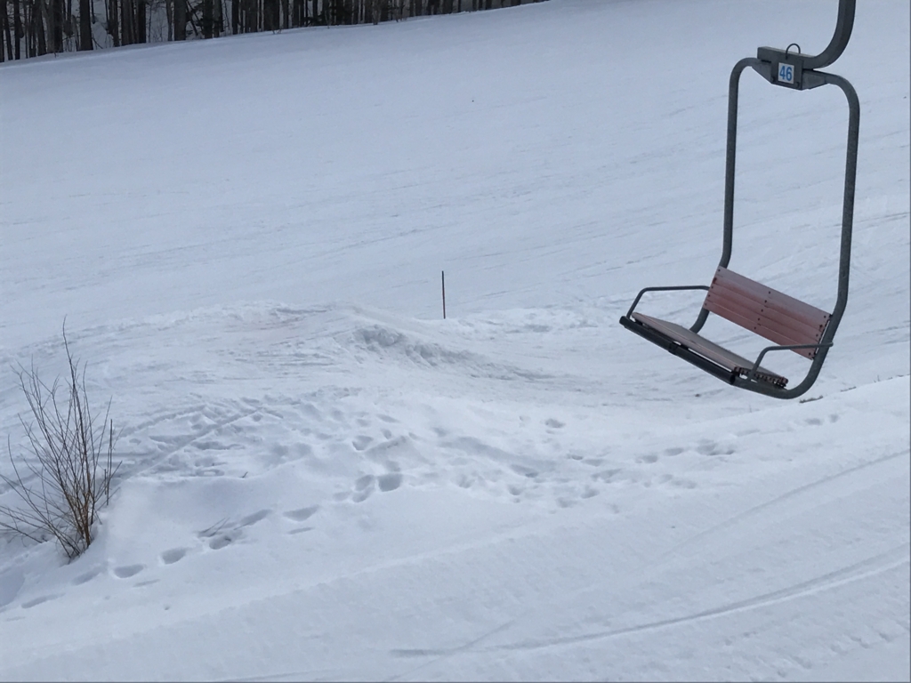 f:id:bambooshoot07:20170319193637j:plain f:id:bambooshoot07:20170319193637j:plain