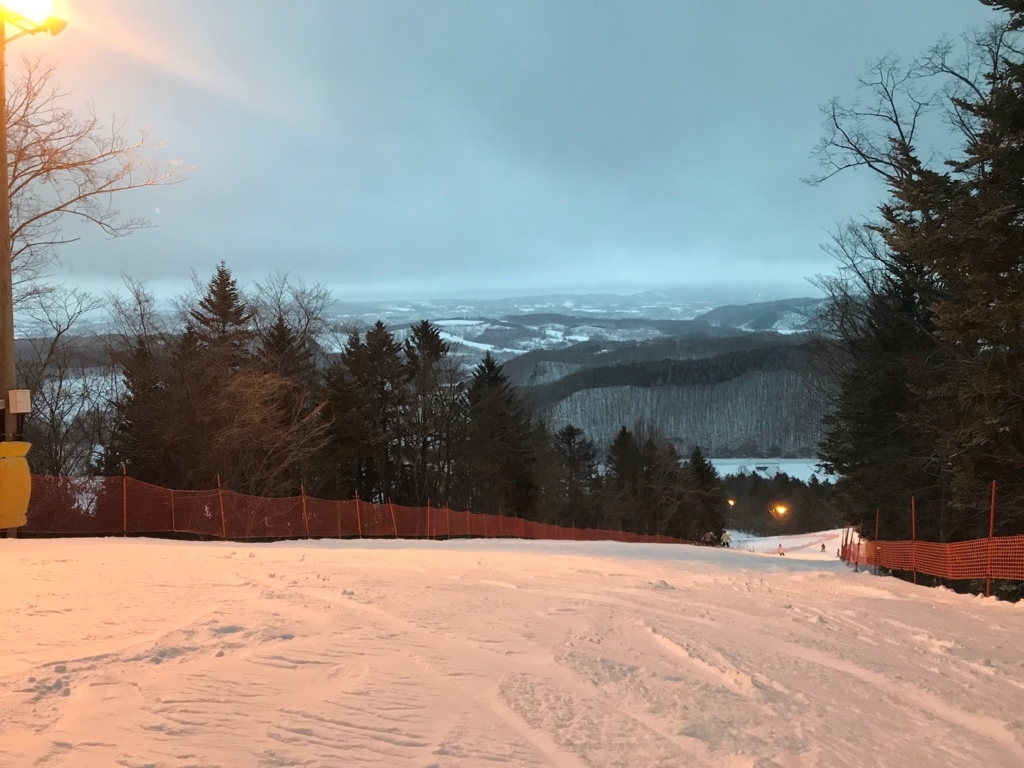 f:id:bambooshoot07:20171230211026j:plain