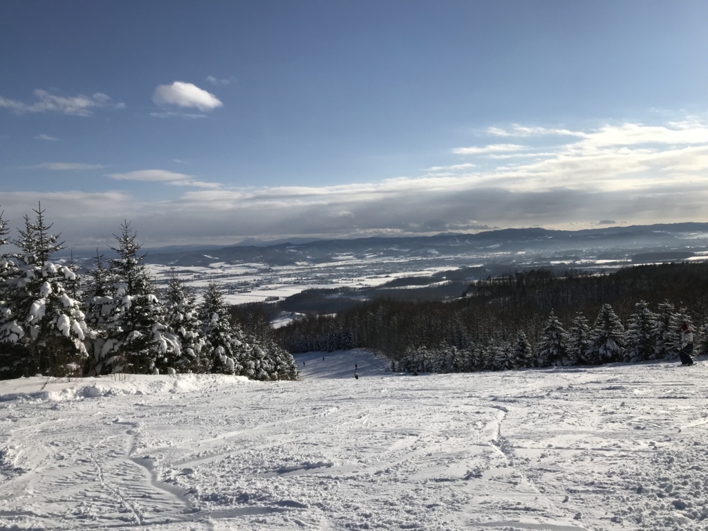 f:id:bambooshoot07:20180105202342j:plain f:id:bambooshoot07:20180105202342j:plain