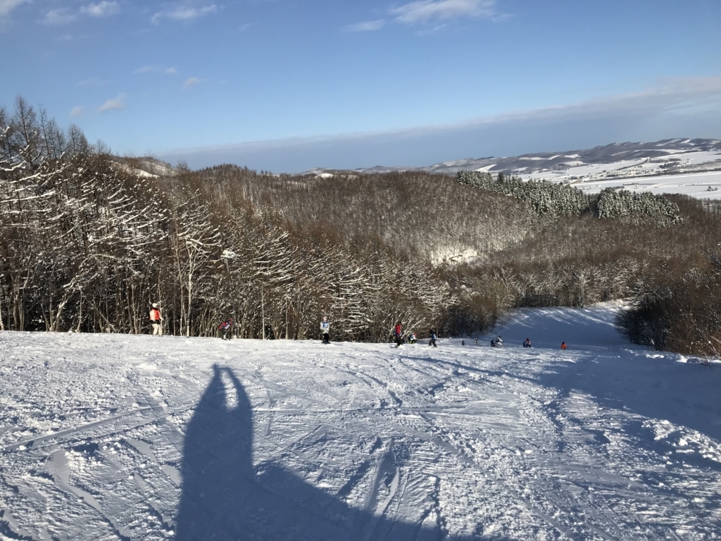 f:id:bambooshoot07:20180105204348j:plain f:id:bambooshoot07:20180105204348j:plain