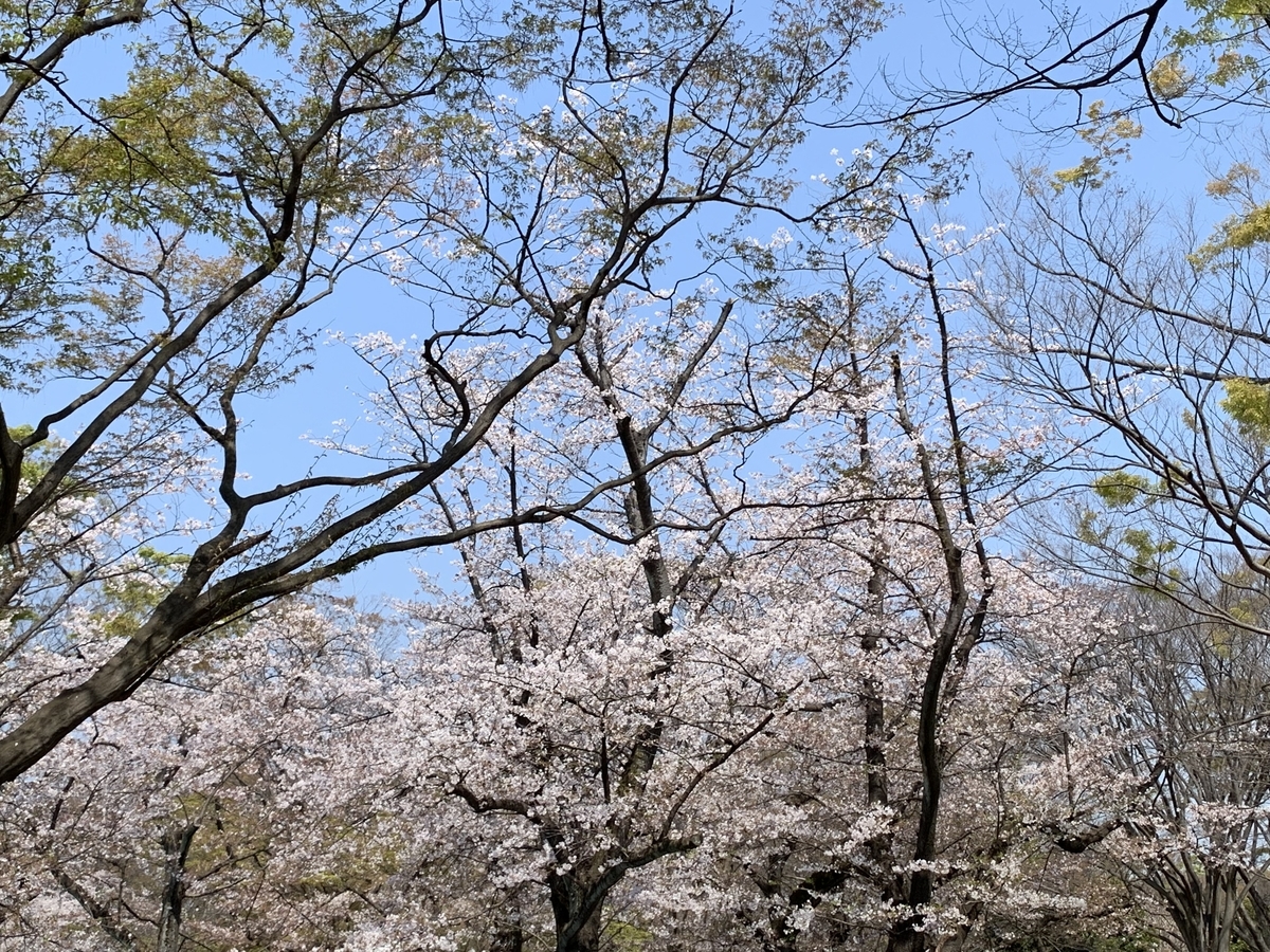 f:id:bamen:20190406204054j:plain