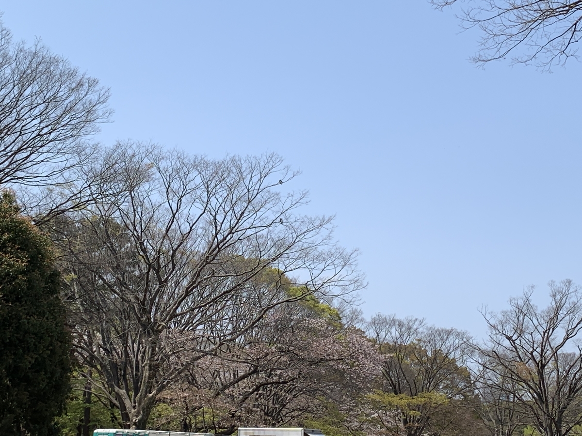 f:id:bamen:20190406204129j:plain
