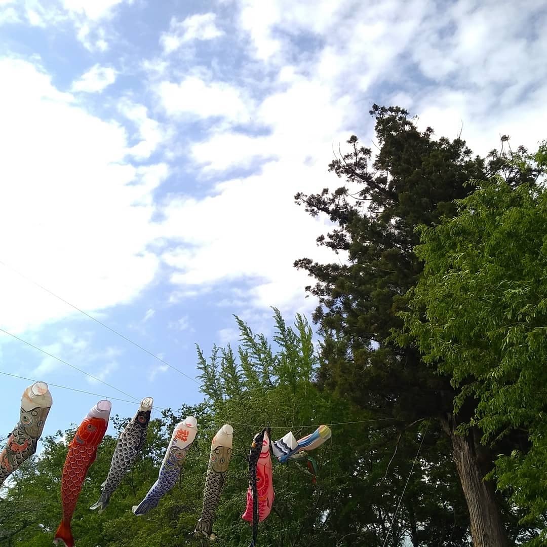 f:id:bamuse0411:20190522130327j:plain f:id:bamuse0411:20190522130327j:plain