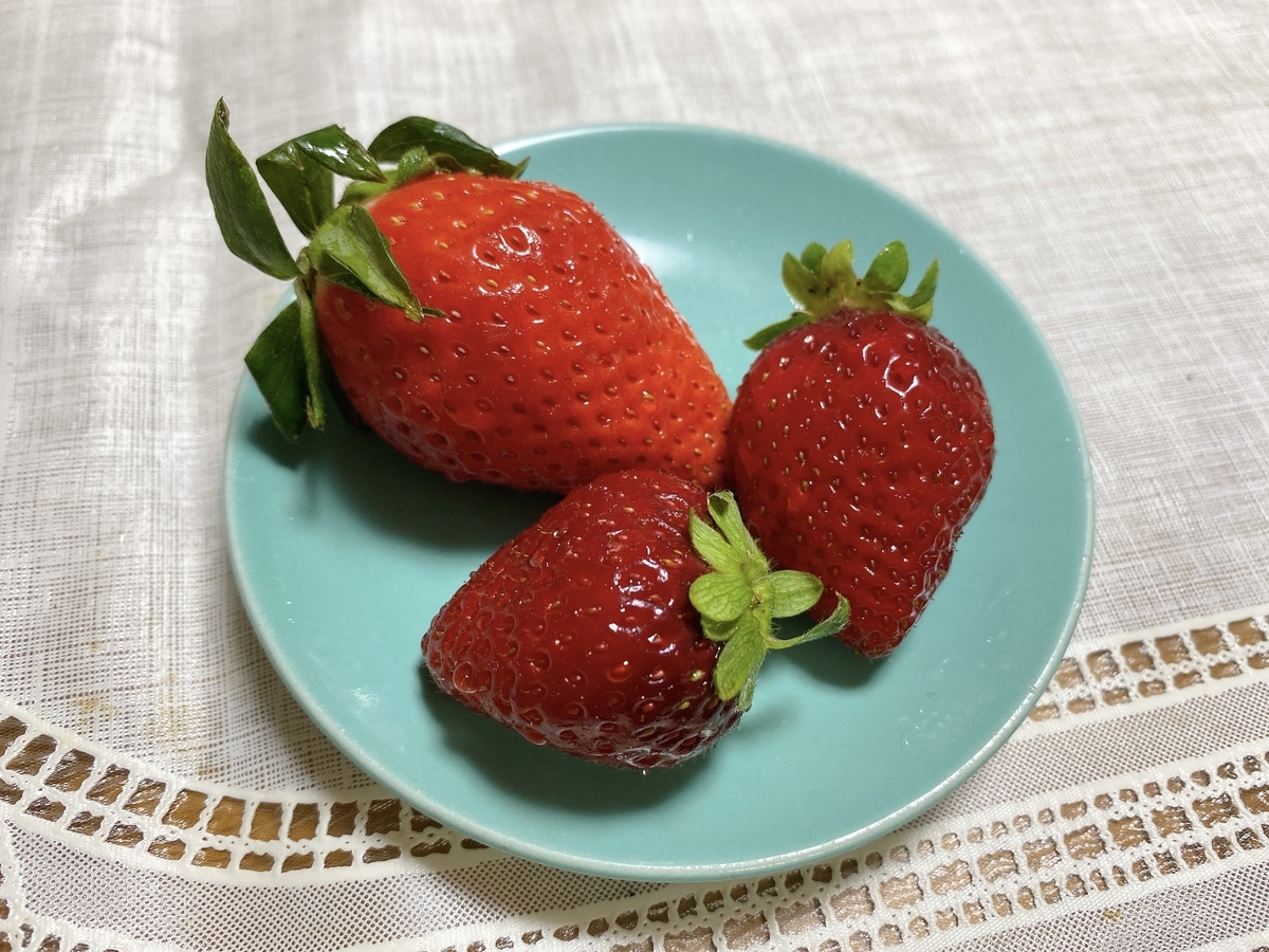 f:id:bamuse78:20220117094958j:plain
