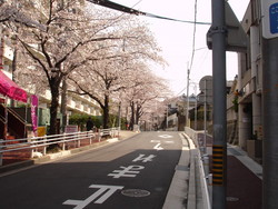 f:id:ban-ban:20080329100619j:image