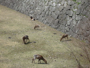 f:id:ban-ban:20080329123418j:image