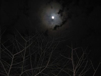f:id:ban-ban:20090111234147j:image