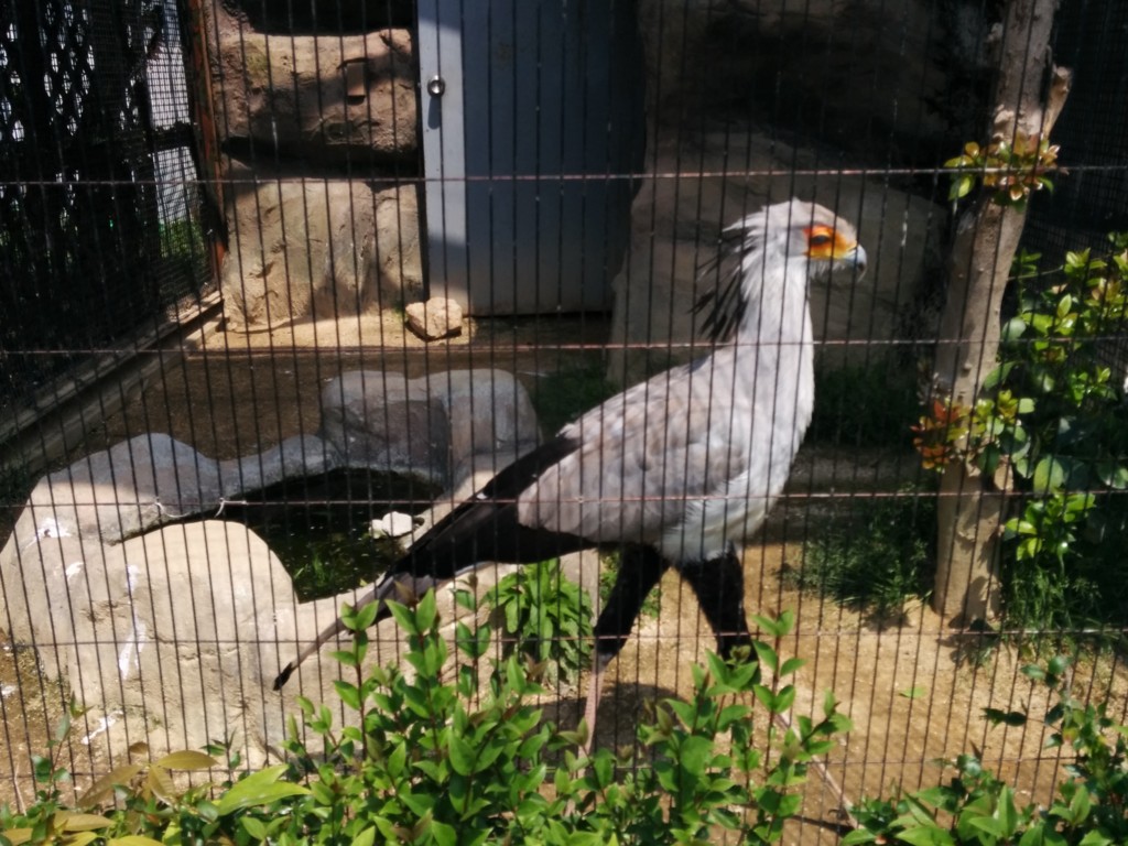 f:id:ban-ban:20170422211400j:plain