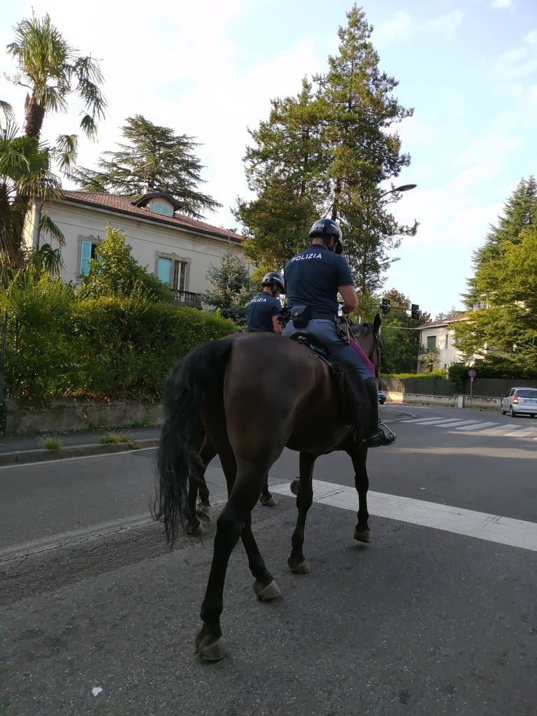 f:id:ban-si:20180912151044j:plain f:id:ban-si:20180912151044j:plain