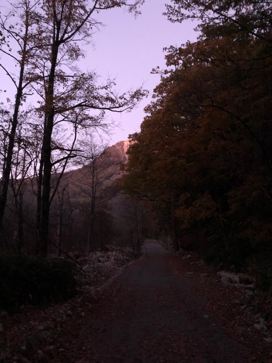 f:id:banach:20201024004819j:plain