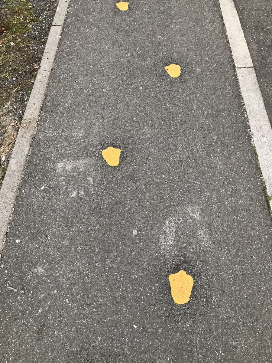 f:id:banana106:20191225202031j:plain f:id:banana106:20191225202031j:plain