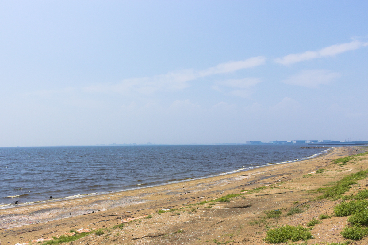 f:id:banana5388:20190725124558j:plain
