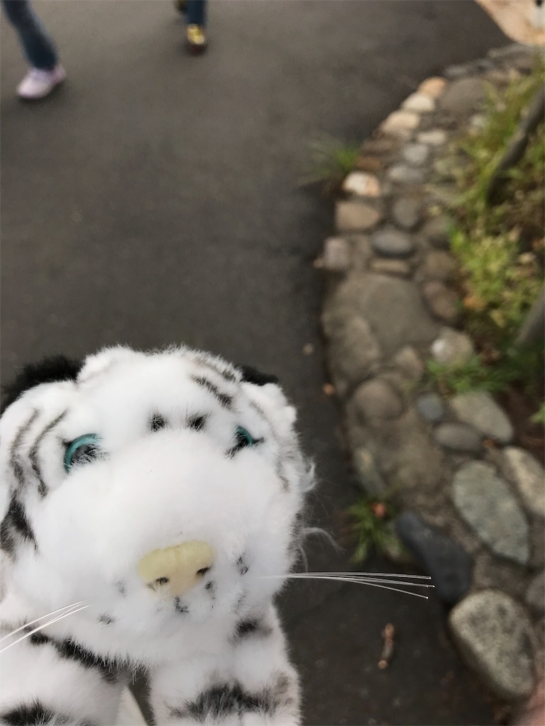 f:id:bananabasyo:20191020212917j:image f:id:bananabasyo:20191020212917j:image