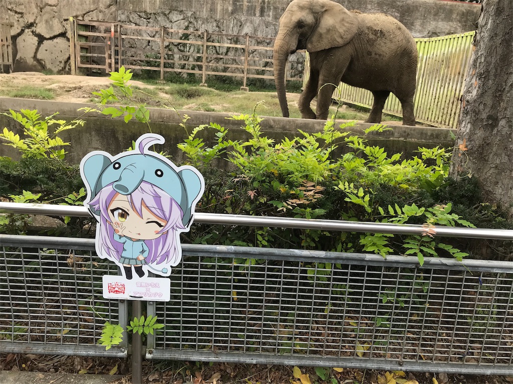 f:id:bananabasyo:20191020213004j:image f:id:bananabasyo:20191020213004j:image
