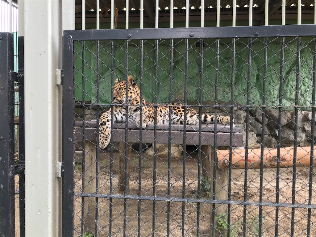 f:id:bananabasyo:20191020225052j:image f:id:bananabasyo:20191020225052j:image