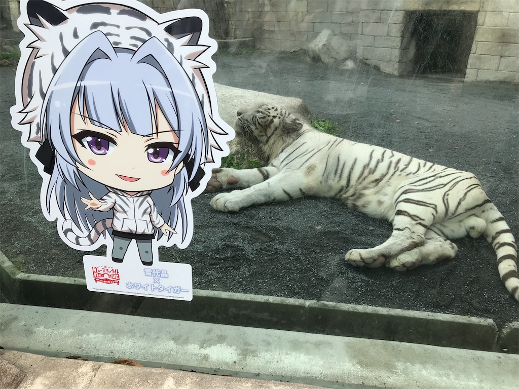 f:id:bananabasyo:20191020225245j:image f:id:bananabasyo:20191020225245j:image
