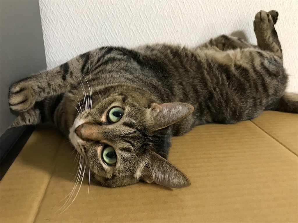 f:id:bananabasyo:20191026183143j:image