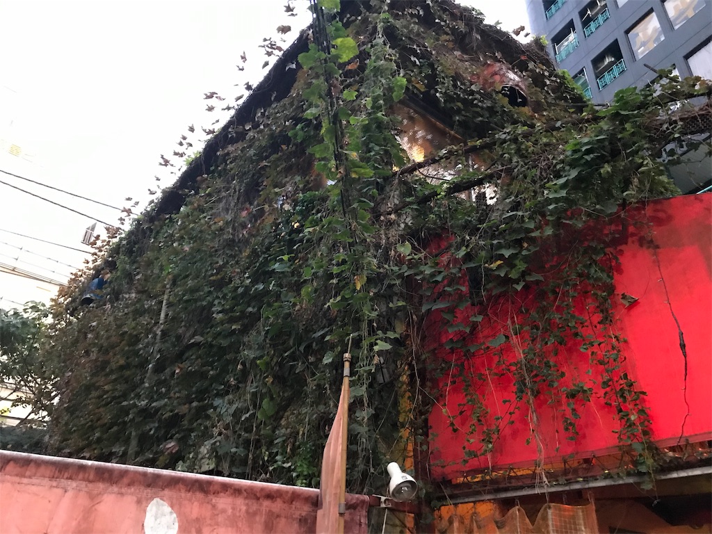 f:id:bananabasyo:20191103073535j:image