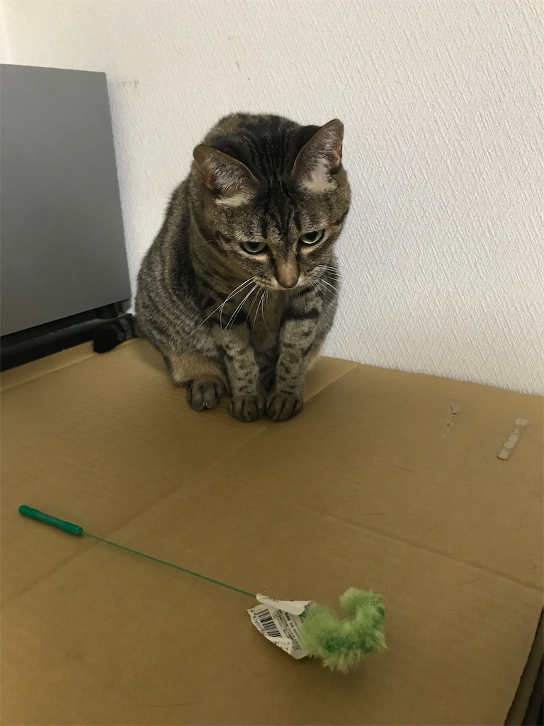 f:id:bananabasyo:20191204174748j:image