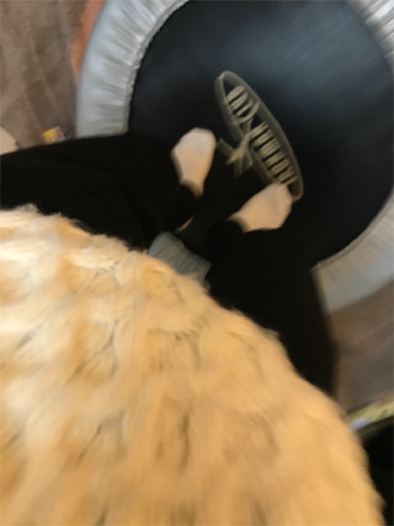 f:id:bananabasyo:20191207192035j:image