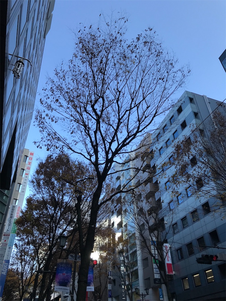 f:id:bananabasyo:20191214192614j:image