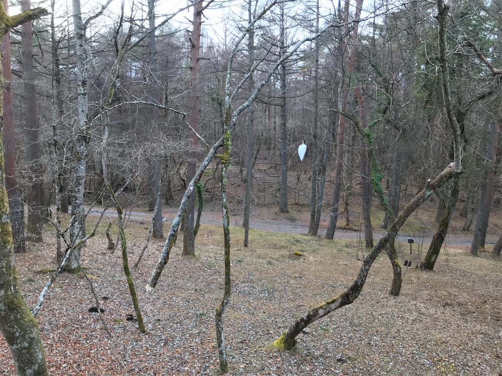 f:id:bananabasyo:20191223174628j:image