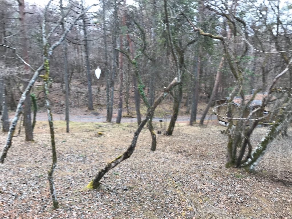 f:id:bananabasyo:20191223174719j:image