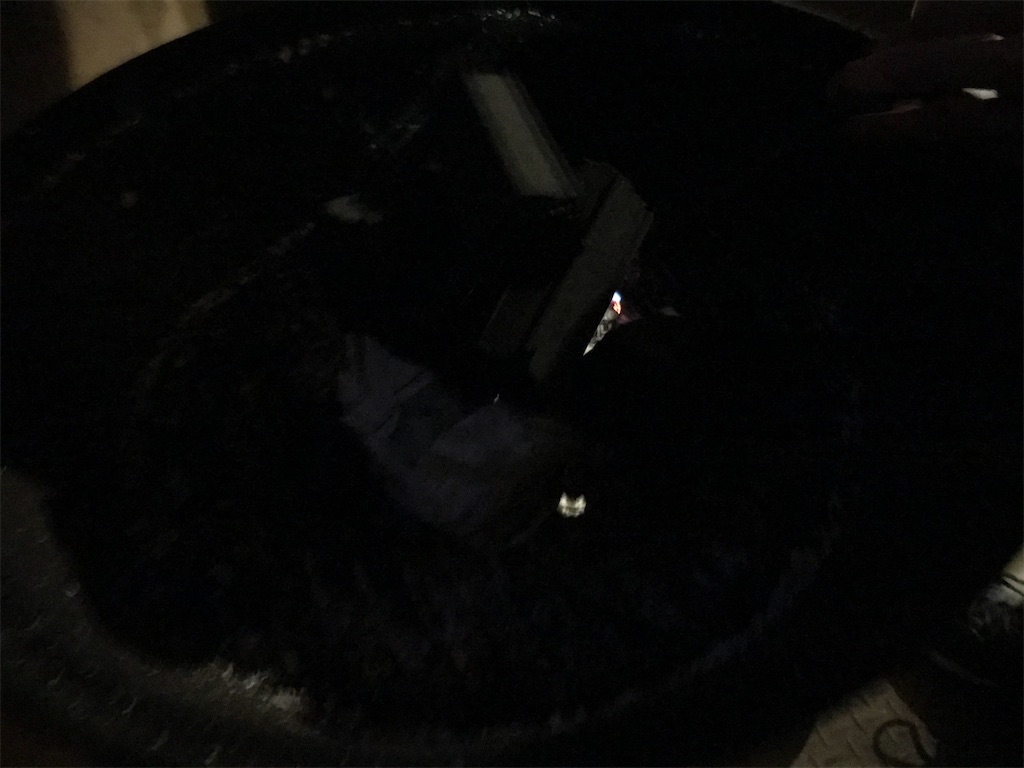 f:id:bananabasyo:20191223184359j:image