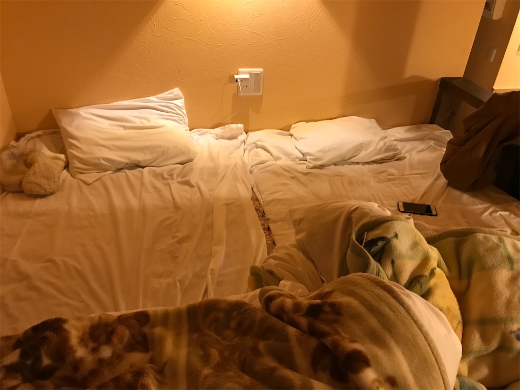 f:id:bananabasyo:20191223190113j:image