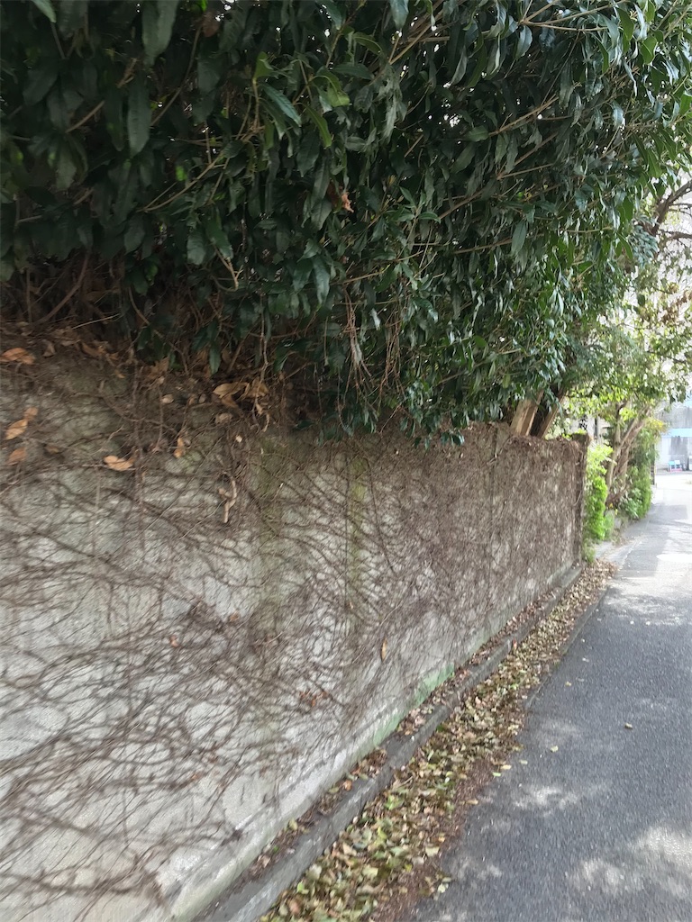 f:id:bananabasyo:20200313141202j:image