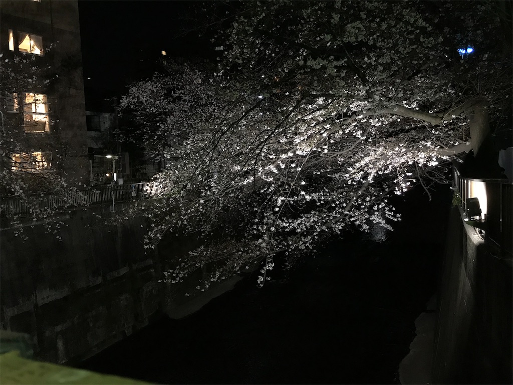 f:id:bananabasyo:20200321190826j:image