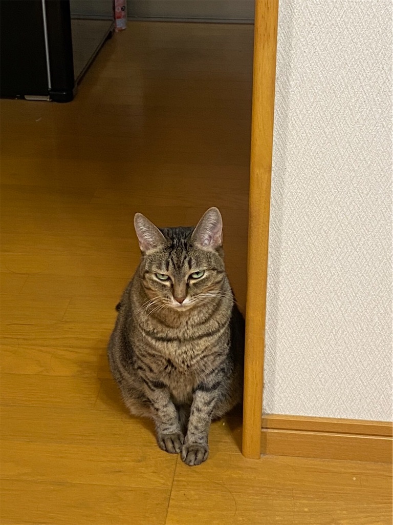 f:id:bananabasyo:20201004235432j:image