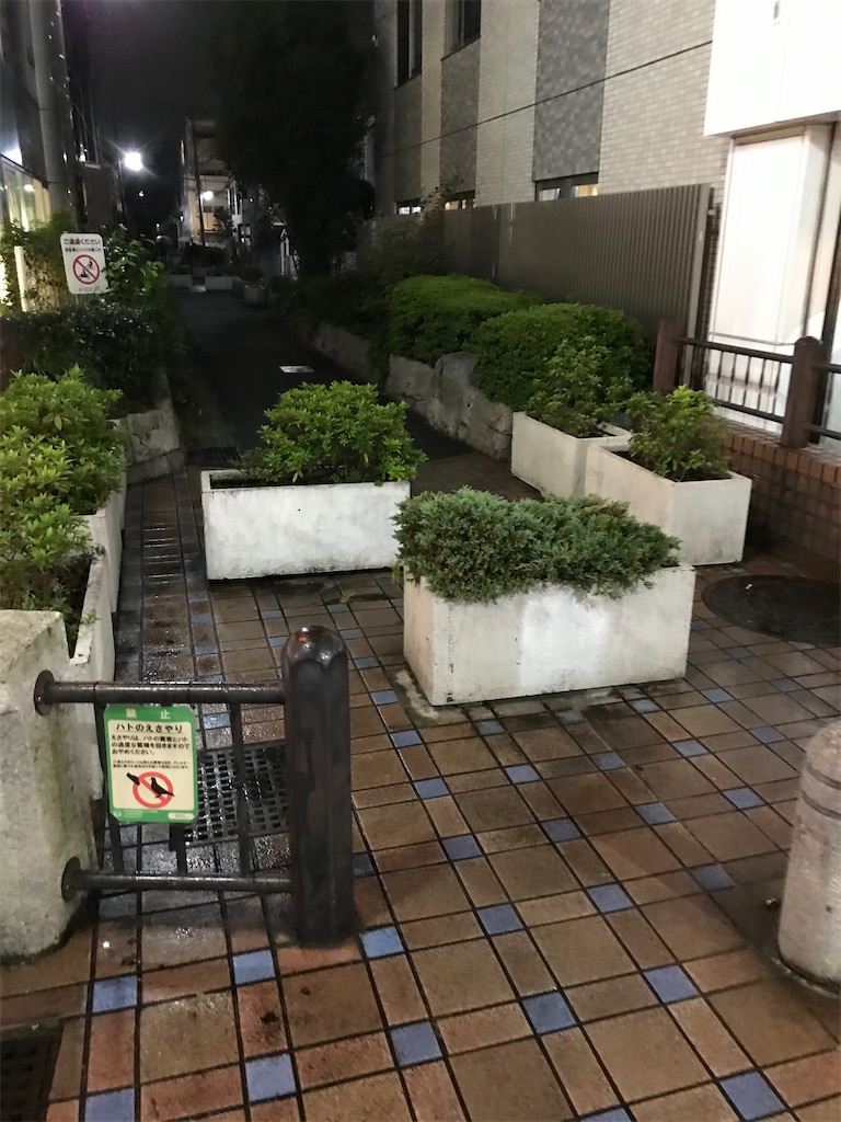 f:id:bananabasyo:20201103150128j:image f:id:bananabasyo:20201103150128j:image