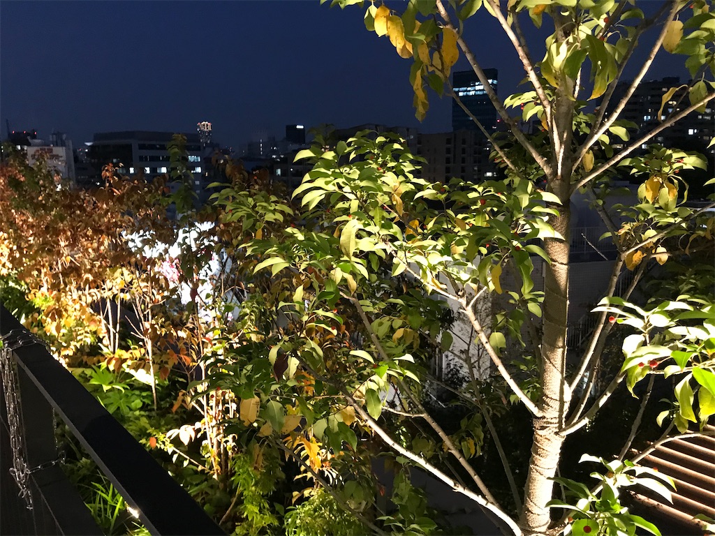 f:id:bananabasyo:20201103183731j:image f:id:bananabasyo:20201103183731j:image