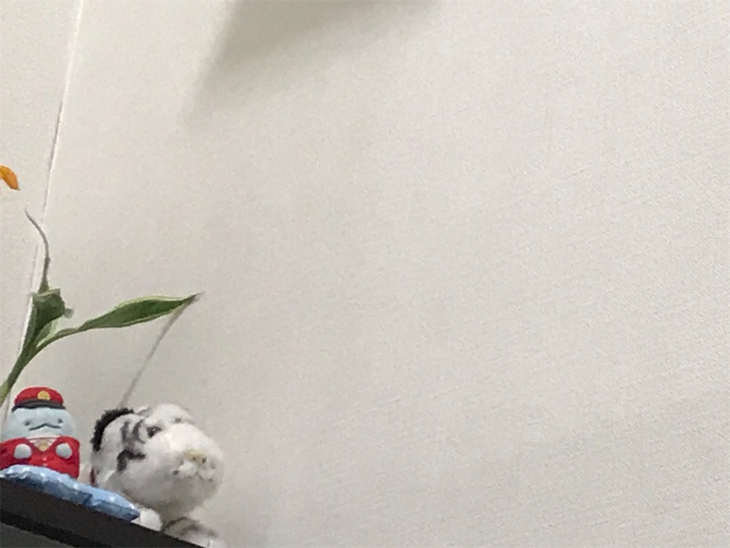 f:id:bananabasyo:20201113231009j:image