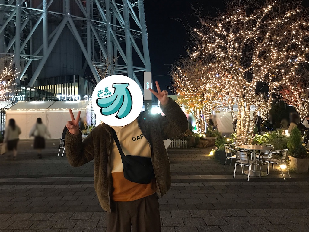 f:id:bananabasyo:20201206214647j:image