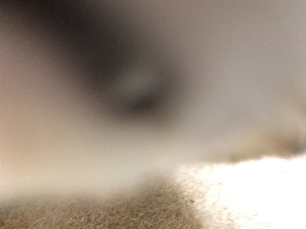f:id:bananabasyo:20201214223456j:image