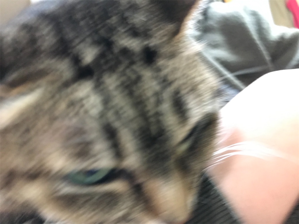 f:id:bananabasyo:20201214223551j:image