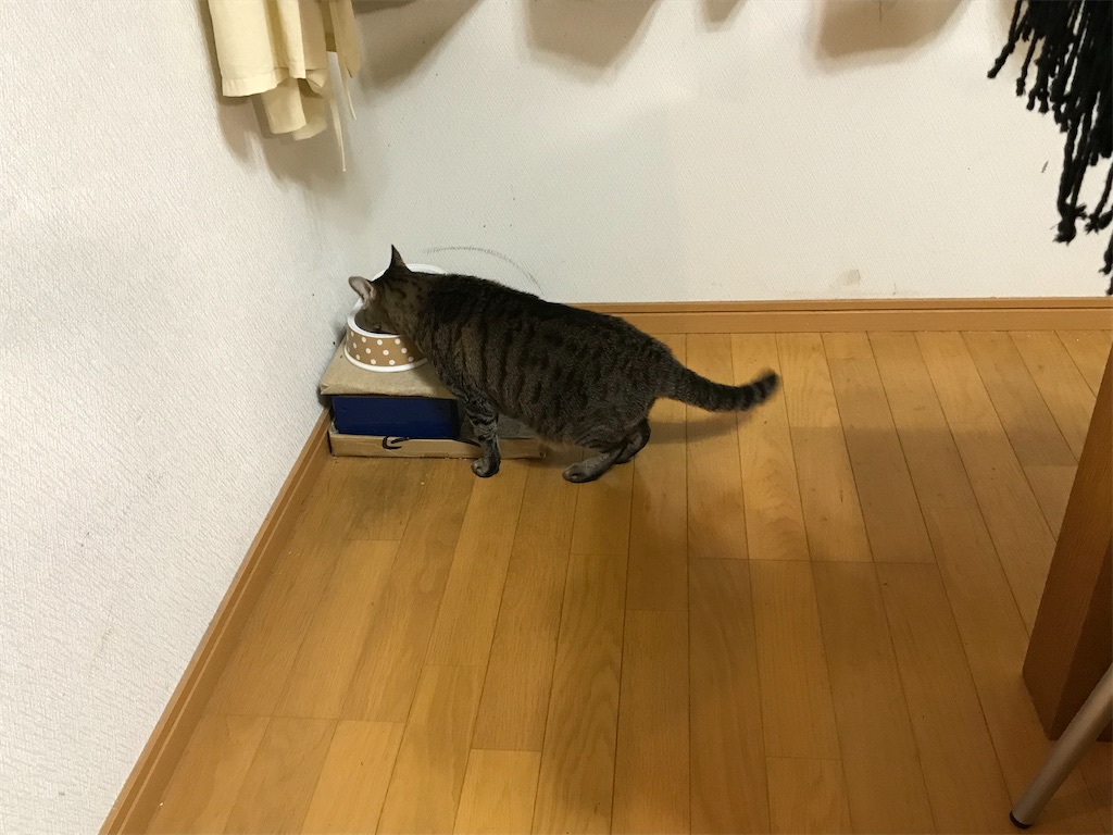 f:id:bananabasyo:20201214223606j:image
