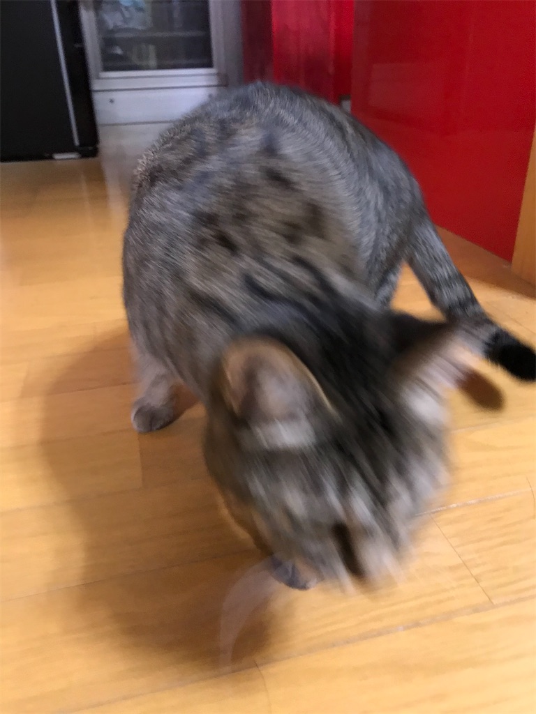 f:id:bananabasyo:20201221230401j:image
