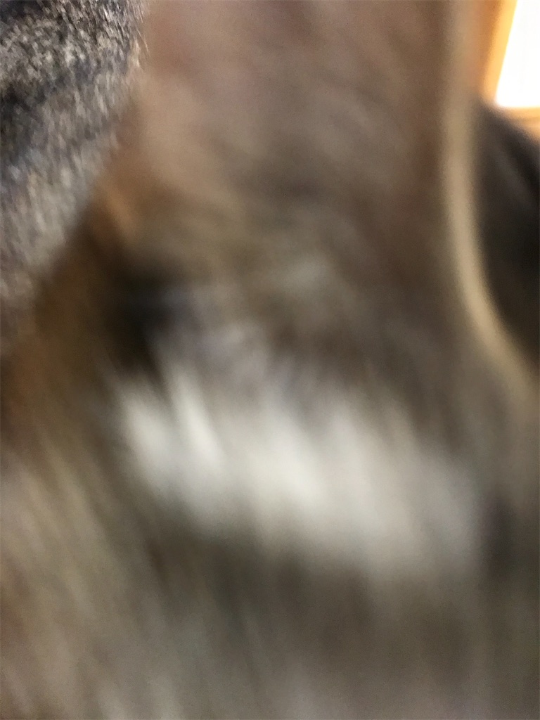f:id:bananabasyo:20201221230405j:image
