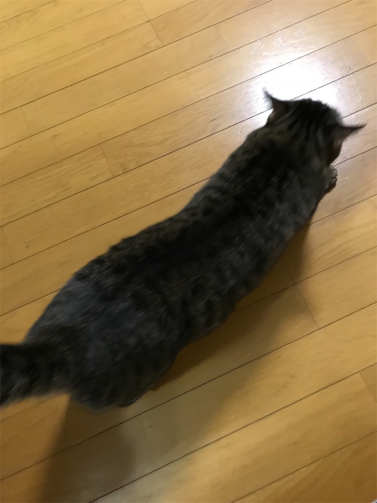 f:id:bananabasyo:20201221230419j:image